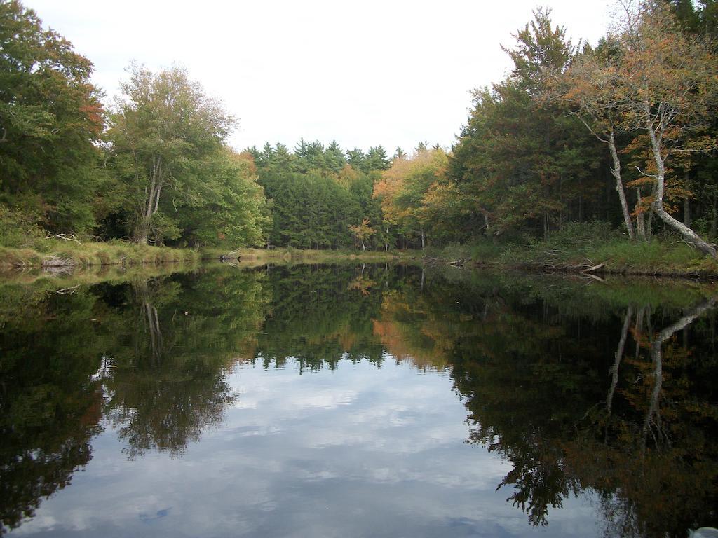 洁曼妮阿特住宿加早餐旅馆 Caledonia 外观 照片