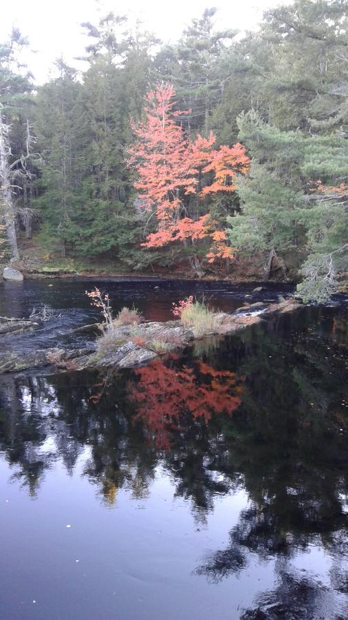 洁曼妮阿特住宿加早餐旅馆 Caledonia 外观 照片